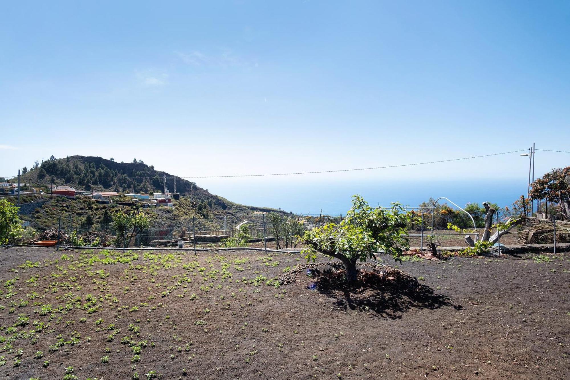 Casa La Podona- A Villa Jedey Buitenkant foto
